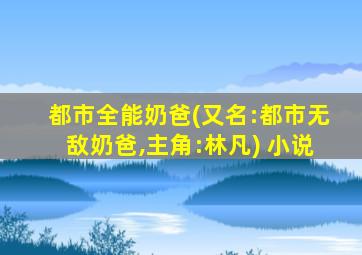 都市全能奶爸(又名:都市无敌奶爸,主角:林凡) 小说